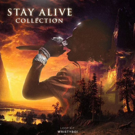🖌️ "Stay Alive" Loop Kit